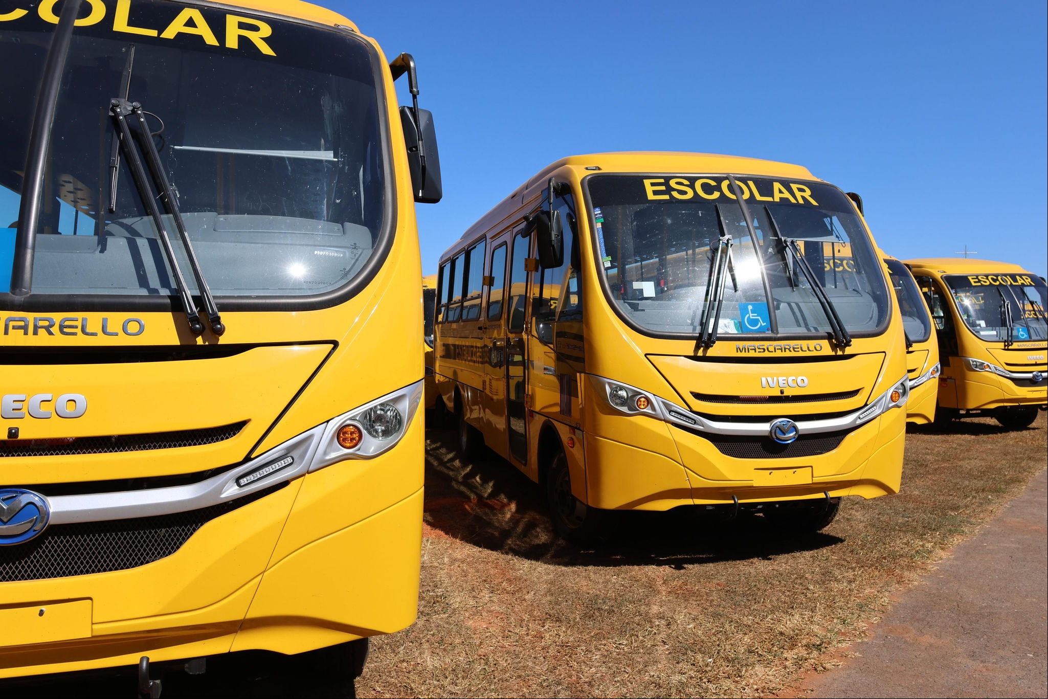 IVECO BUS é a principal fornecedora desta fase do Programa Caminho da Escola