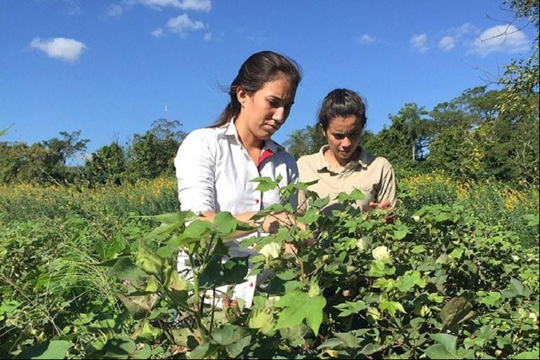 Mulheres rurais também ganham uma linha específica neste Plano Safra da Agricultura Familiar Mulheres rurais também ganham uma linha específica neste Plano Safra da Agricultura Familiar
