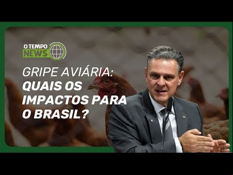 China interrompeu importação após gripe aviária ser confirmada em município do RS