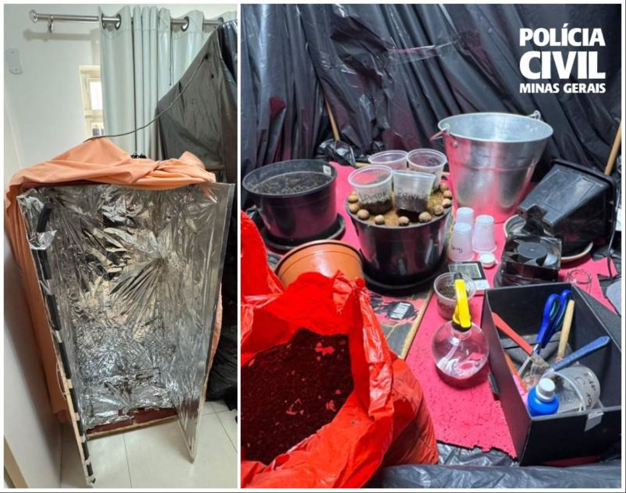 Maconha encomendada do Paraná foi apreendida pela PCMG e suspeito foi preso em Teófilo Otoni