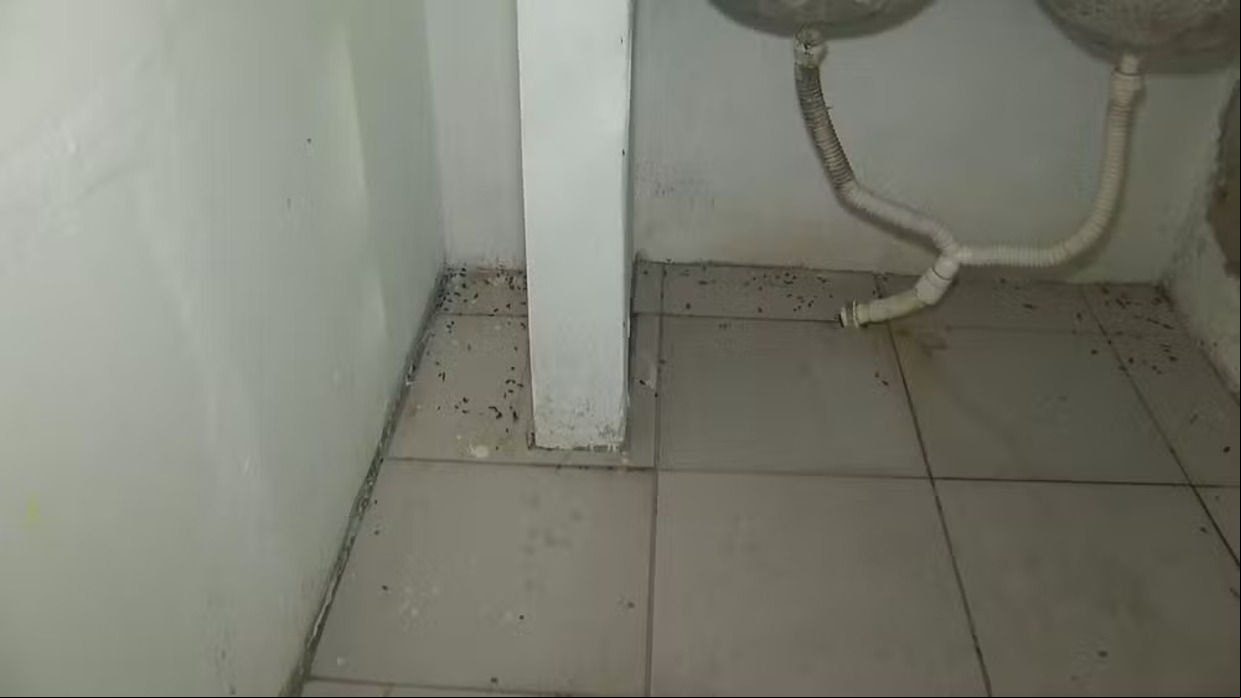 Fezes de rato no lar de idosos