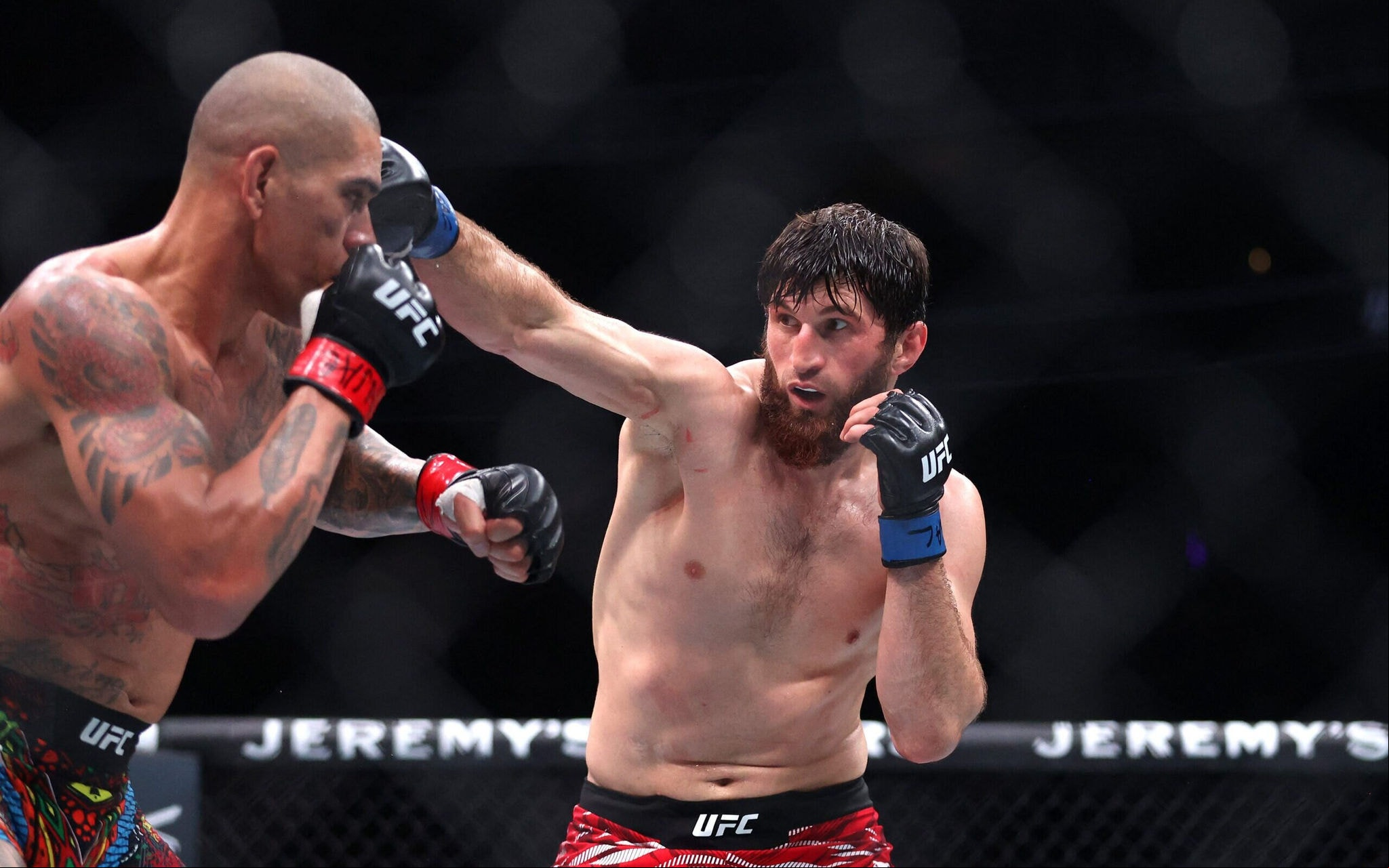 Magomed Ankalaev derrotou Alex 'Poatan' Pereira no UFC 313 (Foto: Ian Maule/AFP)