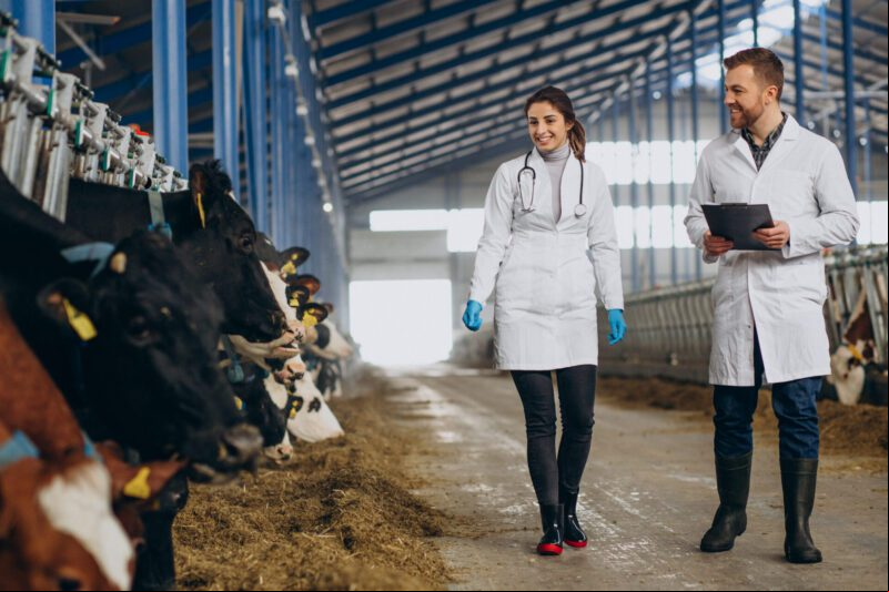 Expomontes 2025 abre inscrições para estágio em Medicina Veterinária, Zootecnia e Agronomia