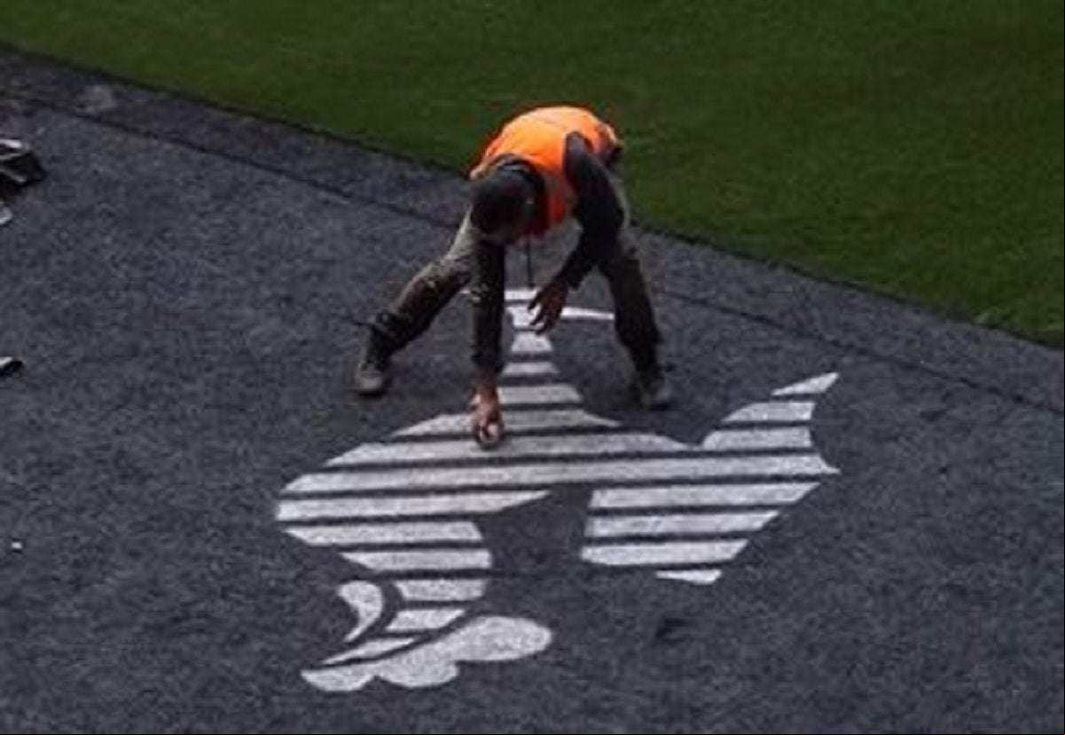 Galo Volpi branco sendo desenhando na parte preta do gramado sintético